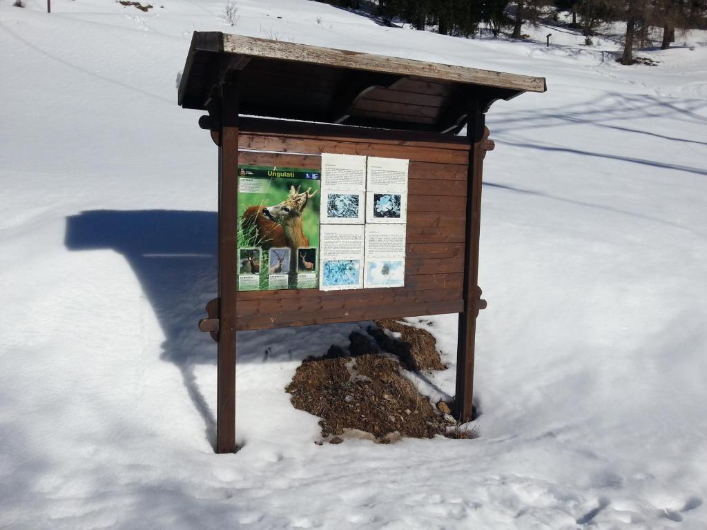 Ar Mountains Lodge Villachiara Branzi Εξωτερικό φωτογραφία